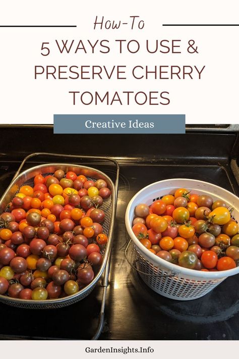 Cherry tomatoes are great for fresh eating, but only up to a point. For the past few weeks, I have been picking close to 10 pounds of cherry tomatoes per day. Keeping up with that volume requires a bit of creativity. Discover 5 ways I've been using and preserving an abundance of cherry tomatoes. What To Do With All My Cherry Tomatoes, Ways To Use Up Cherry Tomatoes, Abundance Of Cherry Tomatoes, How To Use Frozen Cherry Tomatoes, Use Up Cherry Tomatoes, Recipes To Use Up Cherry Tomatoes, Ways To Use Cherry Tomatoes, Preserving Cherry Tomatoes, What To Do With Cherry Tomatoes