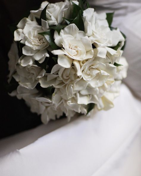 Gardenia Bridal Bouquet, Clean White Wedding, Gardenia Wedding Flowers, Gardenia Bouquet, Crepe Flowers, Cascading Bouquet, Cascading Wedding Bouquets, Retro Bride, Wedding Projects