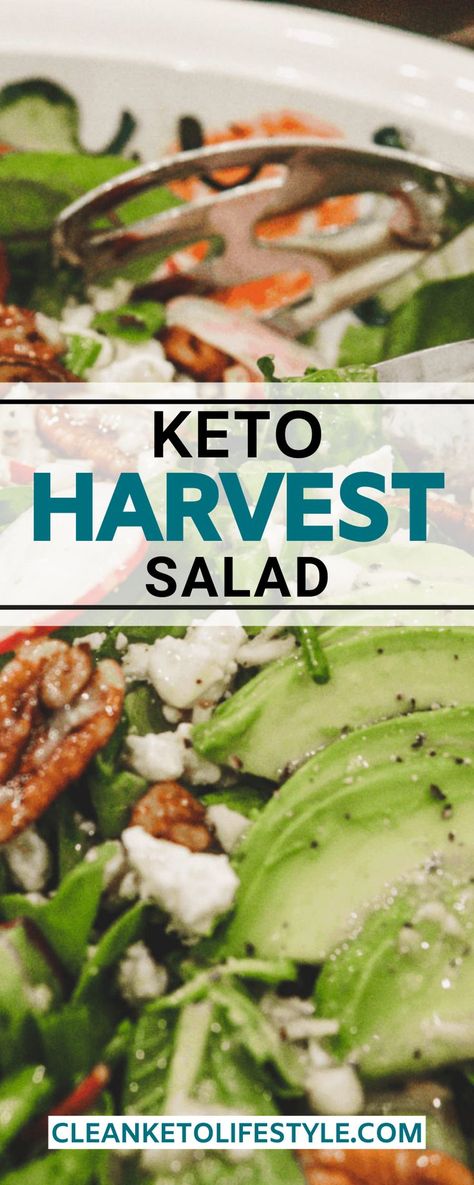 Keto Fall Salad Recipes, Healthy Keto Salads, Keto Green Salad, Keto Friendly Salads, Low Carb Salads Healthy, Keto Asian Salad, Keto Salads Recipes, Keto Spinach Salad, Low Carb Thanksgiving Sides