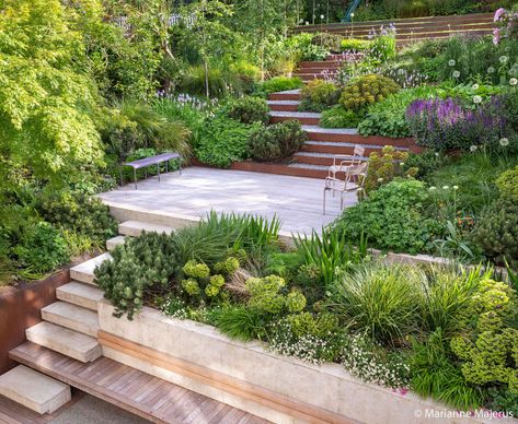 Steep Gardens, Sloped Backyard Landscaping, Terraced Landscaping, Hill Garden, Muswell Hill, Terrace Garden Design, Sloped Backyard, Tiered Garden, Back Garden Design