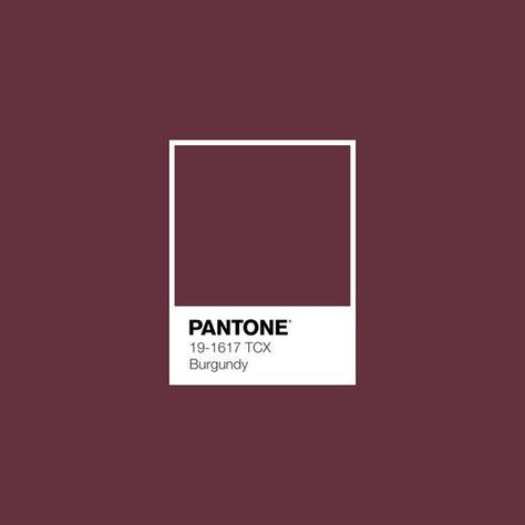 Burgundy Room, Pantone Swatches, Pantone Palette, Pantone Colour Palettes, Pantone Colors, Fall Color Palette, Colour Board, Color Swatch, Colour Schemes