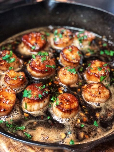 Seafood Dinner Ideas, Garlic Scallops, Feast Of The Seven Fishes, Mashed Cauliflower Recipe, Charlotte Fashion, Garlic Honey, Grilled Oysters, Seven Fishes, Good Roasts