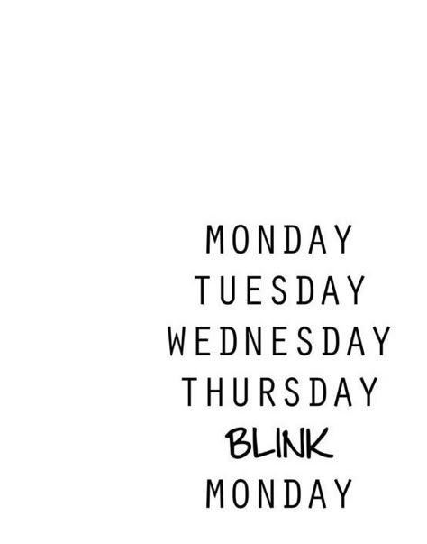 Monday, Tuesday, Wednesday, Thursday, blink, Monday. Funny Work Quotes, Happy Weekend Quotes, Weekend Quotes, Work Quotes Funny, Monday Quotes, Sunday Quotes, Funny Work, Its Friday Quotes, Monday Tuesday Wednesday