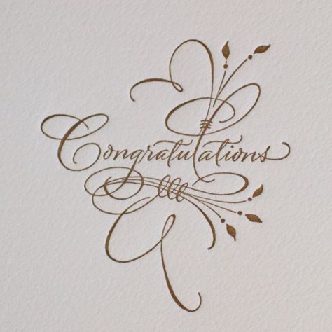 St. Augustine Paper Co. :: Greeting cards :: PG310-CONGRATULATIONS CALLIGRAPHY... Congratulations In Calligraphy, G In Calligraphy, January Calligraphy, Calligraphy Embellishments, Congratulations Calligraphy, Calligraphy Decor, Calligraphy Doodles, Cursive Calligraphy, Calligraphy Cards