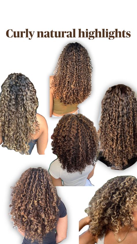 Curly natural highlights Curly Hair Black Women, Curly Highlights, Curly Hair Black, Hair Black Women, Dyed Curly Hair, Highlights Curly Hair, Mixed Curly Hair, Natural Highlights, Black Hair With Highlights