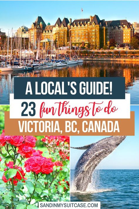 What to do in Victoria, BC? See these 23 best things to do in Victoria, BC -- from a local. We live here. And we know the best places to see in Victoria, BC, and the best activities. | Attractions in Victoria, Canada | Things to see in Victoria, BC | #VictoriaBC #Canada #thingstodo #placestosee Victoria Canada British Columbia Travel, Visiting Victoria Bc, Victoria Things To Do, One Day In Victoria Bc, What To Do In Victoria Bc, Victoria Canada Things To Do In, Victoria British Columbia Things To Do, Downtown Victoria Bc, Victoria Bc Canada Things To Do