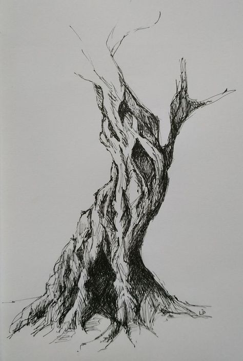 Tree Ink Sketch, Ink Trees Drawing, Trees Pen Drawing, Ink And Pencil Drawing, Ink Drawing Tree, Nature Ink Drawing, Nature Pen Art, Nature Pen Drawing, Tree Art Reference