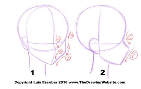 Anime Head Profile Reference, Draw Side Profile Face, Side Profiles Tutorial, Side Profile Art Tutorial, Anime Side Profile Tutorial, Anime Head Drawing Tutorial, Half Side Profile Drawing, How To Draw Side Profiles, Side Profile Base