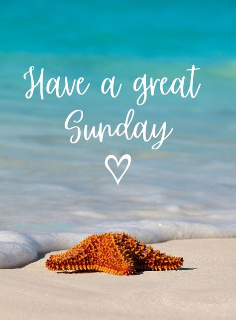 Coastal Quotes, Happy Sunday Pictures, Morning Sister, Happy Sunday Morning, Sunday Morning Quotes, Sunday Pictures, Good Sunday Morning, Happy Day Quotes, Have A Great Sunday