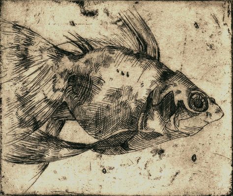 Drypoint Etching Printmaking, Etching Prints Printmaking, Etching Prints Dry Point, Intaglio Printmaking Etchings, Drypoint Printmaking Ideas, Dry Point Etching Printmaking, Monoprinting Ideas, Fish Etching, Aquatint Printmaking