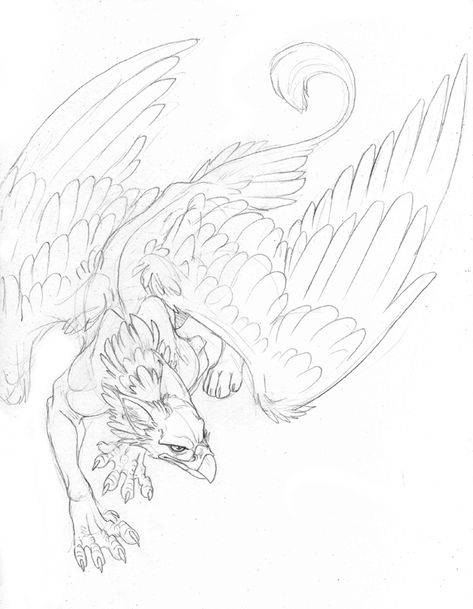 griffin tattoo, would be sweet incorporated into a sleeve Mythical Beast Drawings, How To Draw A Griffin, Skeletal Animal Tattoos, Crow Griffin, Griffin Anatomy, Griffin Drawing Easy, Hypogriff Tattoo, Griffin Tattoo Men, Hippogriff Drawing