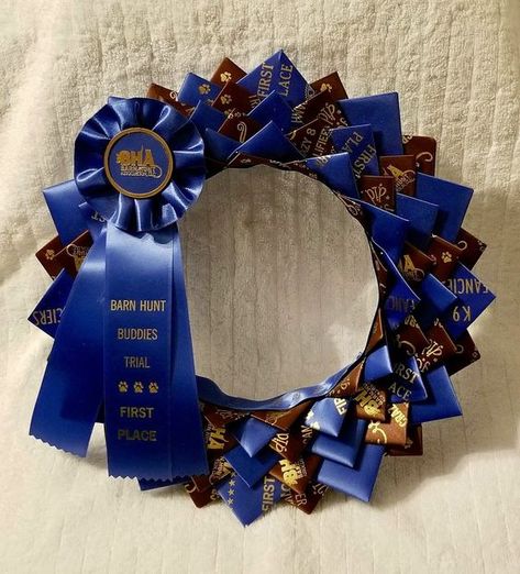 Uses for Dog Show ribbons Fair Ribbon Crafts, Ribbon Display Ideas, Award Ribbon Display, Ribbon Quilts, Horse Ribbon Display, Show Ribbon Display, Horse Awards, Dog Ribbon, Horse Items