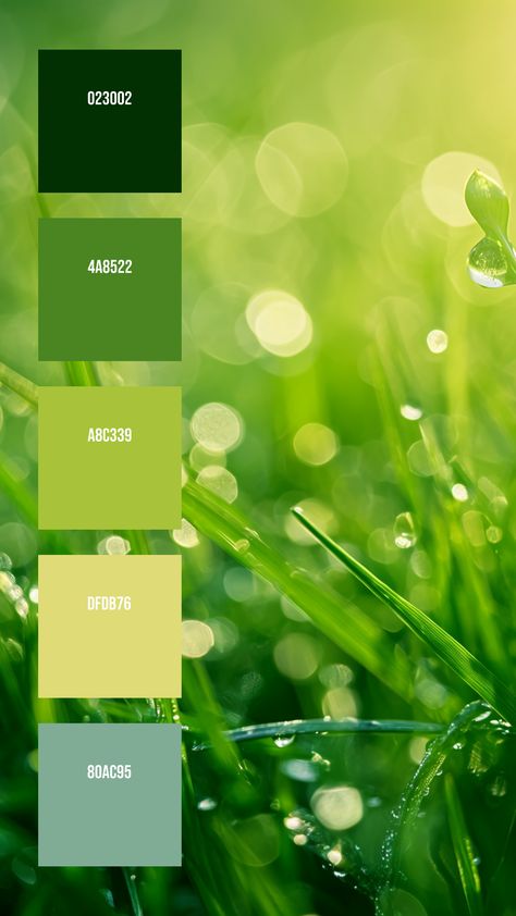 Colors: 023002 ° 4A8522 ° A8C339 ° DFDB76 ° 80AC95  Wishing you the best of luck as you make something awesome with this palette. Please share and save this if you found it useful!⁣⁣⁣⁣⁣⁣⁣⁣⁣ Grass Colour Palette, Green Ombre Color Palette, Forest Fairy Color Palette, Plant Colour Palette, Green Pallet Color Colour Palettes, Sustainable Colour Palette, Grass Palette, Colors That Go With Emerald Green, Shades Of Green Palette