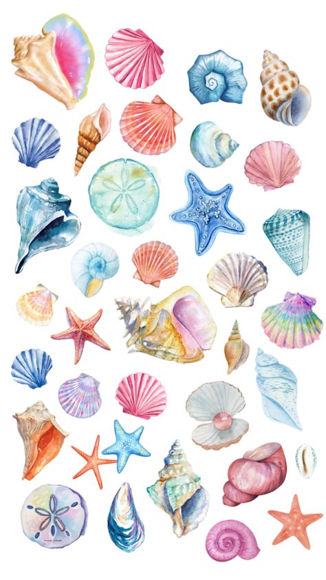 Sea Shells Wallpaper, Beach Wall Collage, Coastal Wallpaper, Desain Quilling, Cute Summer Wallpapers, Animal Illustration Art, Sea Life Art, Scrapbook Printing, Underwater Art