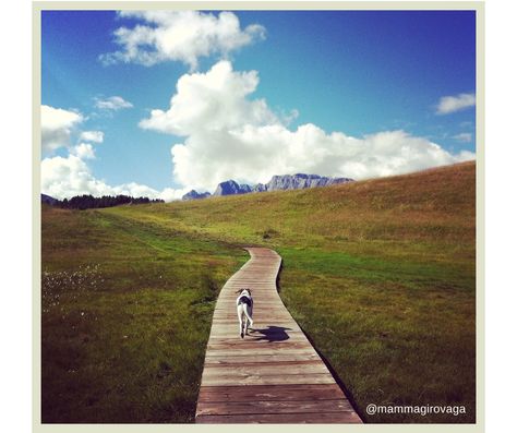 Escursione #7: Alpe di Siusi – Ortisei – mamma girovaga Country Roads, Road