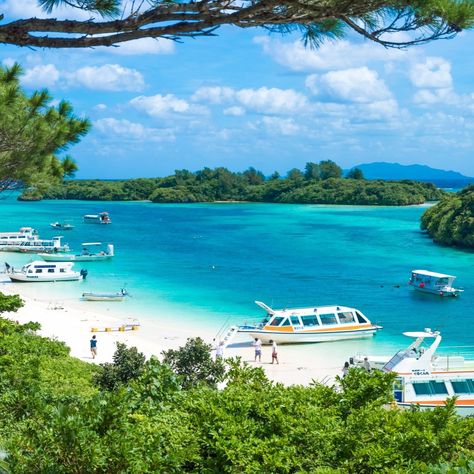 Discover the breathtaking Kabira Bay on Ishigaki Island! From crystal-clear waters to mesmerizing views, this Okinawa gem is a must-visit. Explore, relax, and soak in the beauty of Japan’s top-rated beach. 🌊✨ #JAPANTRAVELSIGHTS #KabiraBay #IshigakiIsland #Okinawa #TravelJapan #BeachParadise #ExploreJapan #IslandLife #NatureLovers #TravelGoals Beauty Of Japan, Ishigaki, Beach Paradise, Crystal Clear Water, Travel Goals, Okinawa, Island Life, Japan Travel, The Beauty