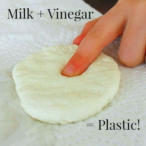 Vetenskapliga Experiment, Oppgaver For Barn, Science Week, Plastic Milk, Science Crafts, Kid Experiments, Easy Science Experiments, Science Projects For Kids, Science Activities For Kids