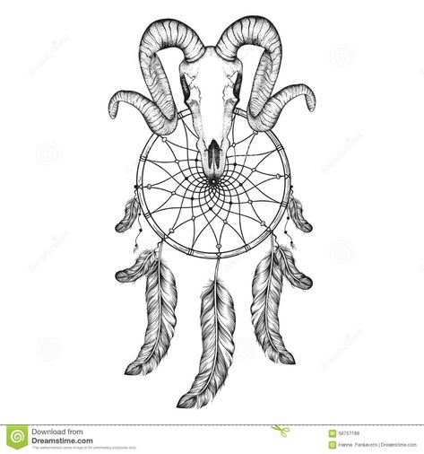 Hand Drawn goat skull doodle vector illustration. Dotwork fullfa. Illustration about head, goat, lace, catcher, dream, floral, lamb, draw, decoration, deer, abstract - 58757188 Sheep Skeleton, Dream Catcher Tat, Horn Illustration, Feather Sketch, Skull Symbol, Illustration Indian, Rose Line Art, Vintage Tattoo Design, Native American Tattoo