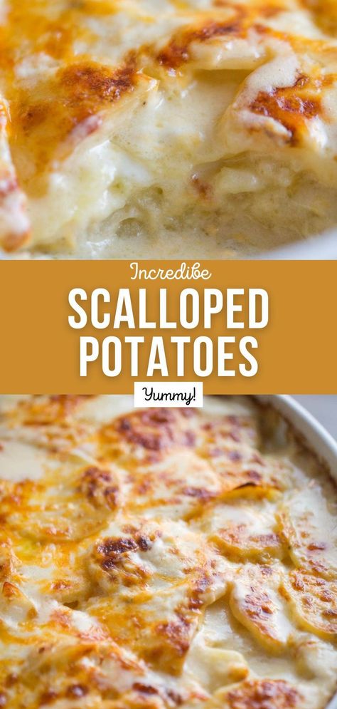 Warm, creamy, cheesy and oh so comforting, these Scalloped Potatoes really are the best! Recipe For Scalloped Potatoes, Creamy Cheesy Potatoes, Best Scalloped Potatoes, Creamy Scalloped Potatoes, Scalloped Potatoes Easy, Hotdish Recipes, Scalloped Potatoes And Ham, Scalloped Potatoes Cheesy, Fast Dinner Recipes