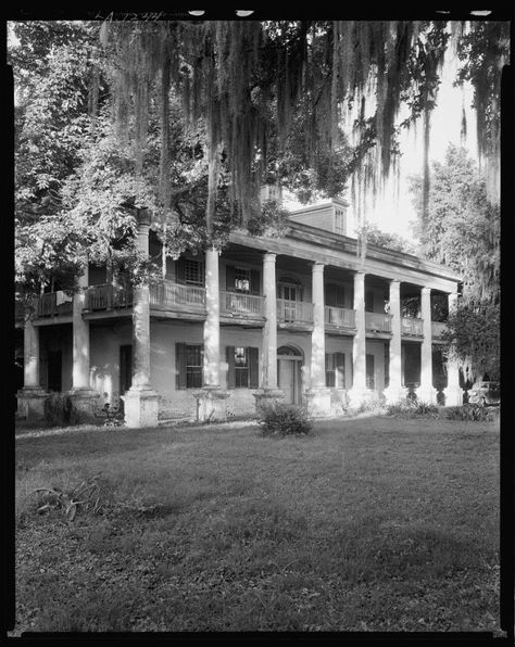 Photos Of Louisiana From 100 Years Ago Older Houses, Old Southern Plantations, Vintage Louisiana, Old Southern Homes, Abandoned Plantations, Residence Architecture, New Orleans History, Louisiana Plantations, Antebellum South