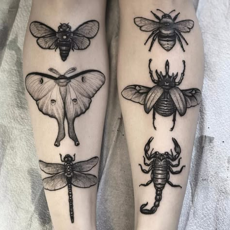 Moth Tattoo Design, Beetle Tattoo, Insect Tattoo, Bug Tattoo, Moth Tattoo, Bee Tattoo, Dream Tattoos, Nature Tattoos, Dope Tattoos