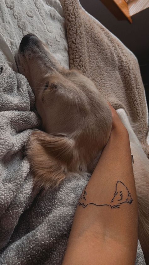 Golden Retriever Fine Line Tattoo, Small Dog Tattoos Golden Retriever, Golden Retriever Dog Ears Tattoo, Golden Retriever Ears Tattoo, Golden Retriever Memorial Tattoo, Golden Retriever Outline Tattoo, Golden Retriever Tattoo Ideas, Golden Retriever Tattoo Minimalist, Retriever Tattoo