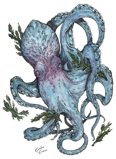 Kraken Art Illustrations, Kraken Mythology, Kraken Artwork, Kraken Aesthetic, Kraken Watercolor, Kraken Painting, Kraken Illustration, Kraken Drawing, Kraken Logo