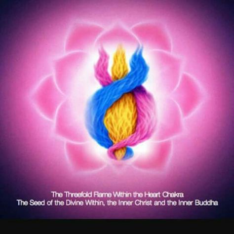 The Threefold Flame Within Threefold Flame, Light Worker, Kuan Yin, Three Fold, Heart Chakra, Affirmation Quotes, Consciousness, Positive Affirmations, Chakra