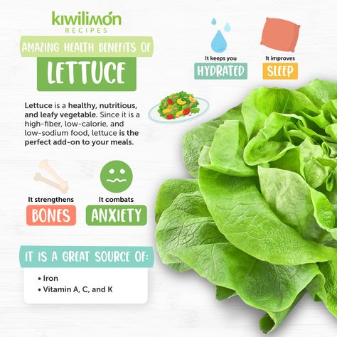 Benefits Of Lettuce, Lettuce Benefits, Vege Garden, Cucumber Canning, Food Benefits, Iron Vitamin, Prediabetic Diet, Vegetable Tray, Green Food