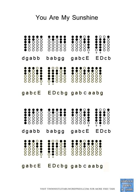 You Are My Sunshine Flute Sheet Music, Flute Recorder Notes, Easy Tin Whistle Songs, Songs On Recorder, Tin Whistle Tabs Songs Easy, Irish Tin Whistle, Tin Whistle Notes, Tin Whistle Songs, Tin Whistle Tabs Songs
