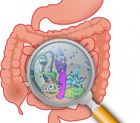 The Connection between Your Gut, Your Diet & Parkinson’s Disease Fever Symptoms, Contaminated Food, Brain Tissue, Digestive Issues, Gut Microbiota, Bone Loss, Leaky Gut, Colon Cleanse, Water Filtration System