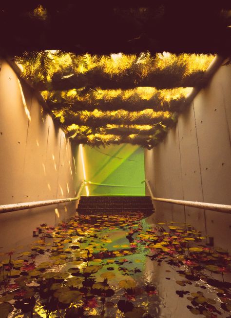 A dream-like scene in a flooded and overgrown subway tunnel. Made in Blender with some colour grading in Photoshop. Overgrown Subway, Subway Tunnel, Colour Grading, 2023 Art, Subway Station, Liminal Space, Color Grading, Photoshop, Color