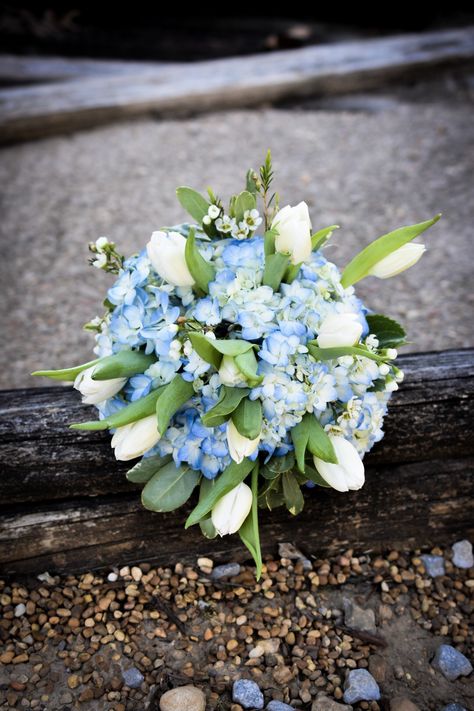 Simple and elegant bridal bouquet with white tulips. White Tulips And Blue Hydrangea, Hydrangea Tulip Bouquet, Small Blue Flower Bouquet, Blue Tulip Bouquet Wedding, Hydrangea And Tulip Bouquet, Blue Tulips Bouquet, Tulips Bridal Bouquet, Tulip Bouquet Wedding, Tulip Bridal Bouquet