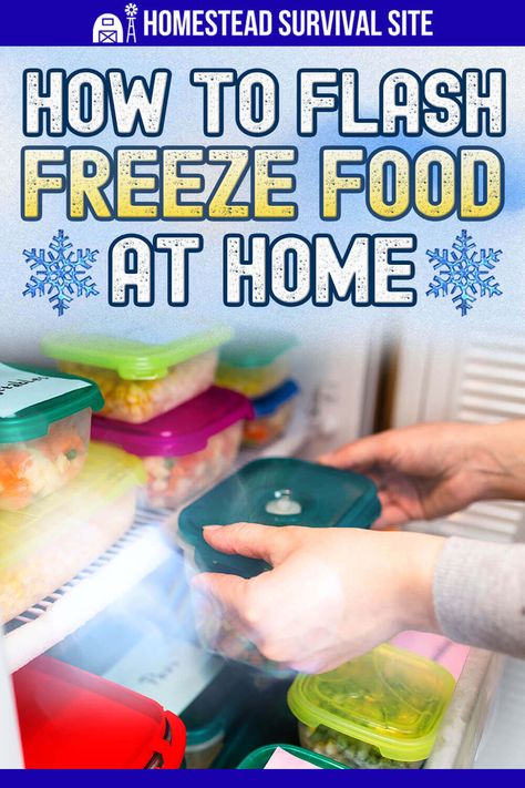 How To Flash Freeze, Flash Freezing, Freeze Soup, Freezing Food Guide, Freezer Ideas, Freeze Food, Homestead Lifestyle, Freezing Vegetables, Freezing Food