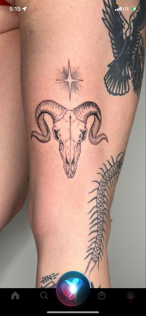 Goats Head Tattoo, Black Ram Tattoo, Ram Skeleton Tattoo, Goat Tattoos For Women, Ramskull Tattoo Design, Ram Tattoo Aries Women, Capricorn Tattoo Designs For Women, Alien Cow Tattoo, Aries Ram Skull Tattoo