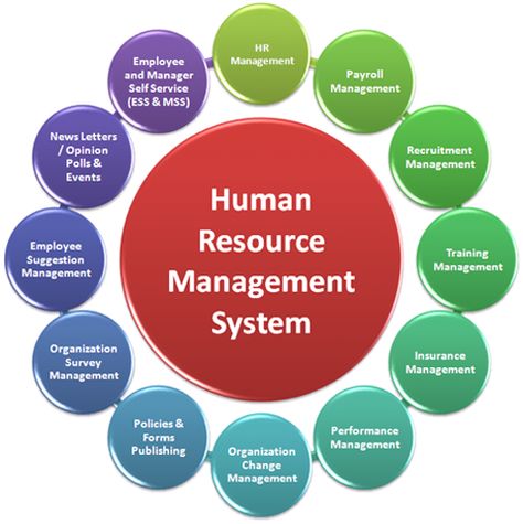 Image detail for -Human Resource Management System Human Resources Career, Human Resources Management, Human Resource Management System, Business Management Degree, Schools In America, Payroll Software, Human Resource Development, موارد بشرية, Organization And Management