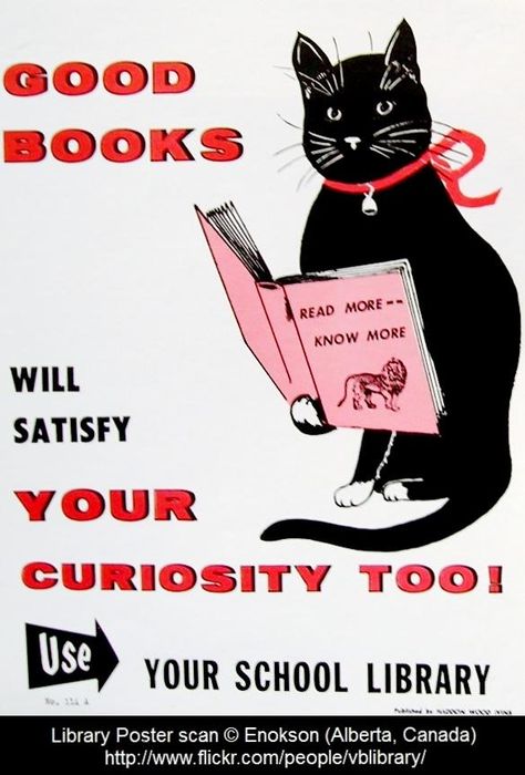 School LIBRARY Poster © Enokson (Library Tech/Scanner. Alberta, Canada) via flickr. "Good BOOKS Will Satisfy Your Curiosity Too! Read More, Know More. Use Your School Library" Black cat reading book ... Give credit where due. Pin from the primary source. If you already have this pin, it only takes a second to edit the Description & Link by cut & paste. School Library Posters, Cat Reading A Book, Library Posters, Reading Posters, Inspire Students, Cat Reading, Vintage Library, A Black Cat, Vintage School