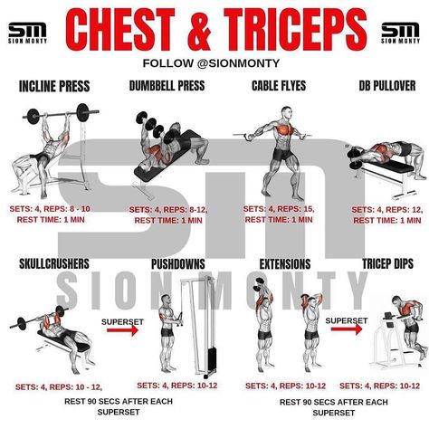 🔥Chest And Tricep Workout Routine🔥 By @sionmonty Give it a go this week 💪🏽 - Follow:@tips.4health _ TAG a Gym Buddy - Enjoy Chest And Triceps Workout, Tricep Workout Routine, Chest Day Workout, Chest And Tricep Workout, Chest Workout For Men, Fitness Studio Training, Tricep Workout, Wellness Nutrition, Cardio At Home