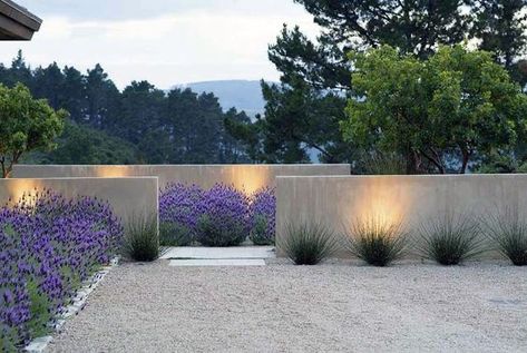 Modern Garden Landscaping, Garden Wall Designs, Landscape Lighting Design, Building A Pergola, Landscaping Inspiration, Professional Landscaping, Lavender Garden, Modern Landscape Design, Modern Garden Design