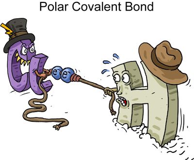 Covalent And Ionic Bonds, Notes Pictures, Science Cartoons, Ionic Bonding, Chemistry Classroom, Chemistry Education, Chemistry Humor, Covalent Bonding, High School Chemistry