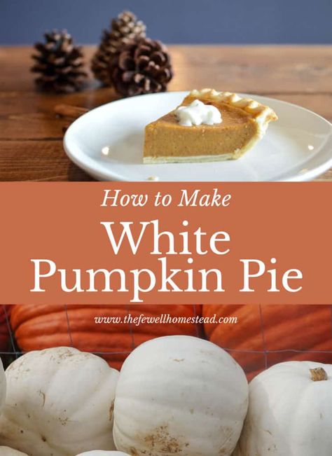 White Pie Pumpkin Recipes, White Pumpkin Puree Recipes, White Pumpkins Recipes, White Pumpkin Pie Recipe, White Pumpkin Recipes, Ibd Recipes, Pumpkins Recipes, Homesteader Recipes, Kale Salads