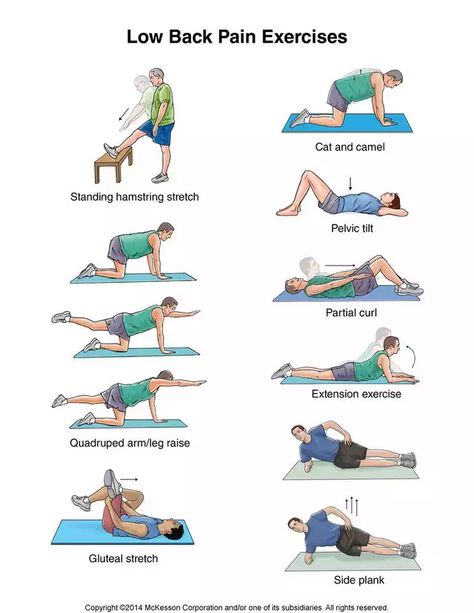 Back on track - Imgur Prolapse Exercises, Bolesti Chrbta, Rehabilitation Exercises, Bulging Disc, Lower Back Pain Exercises, Physical Therapy Exercises, Neck Exercises, Spine Health, Lower Back Pain Relief