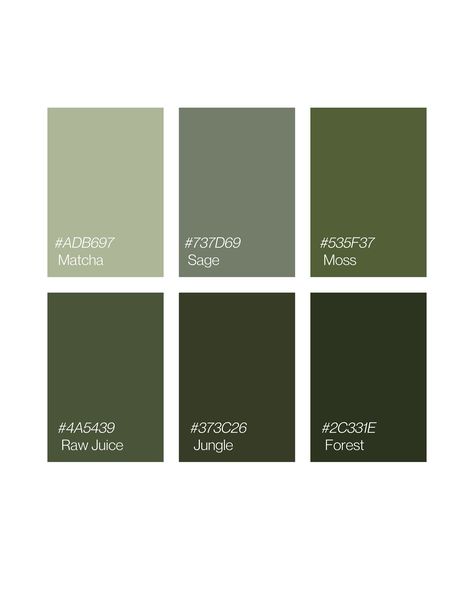 Color psychology in branding: Green health • wealth • nature • wellness #colorpsychology #pantones #greenpantone #colorpalette #branding Nature, Nature Wellness, Pantone Green, Camper Reno, Interior Color Schemes, Interior House Colors, Green Palette, Muted Green, Health Wealth