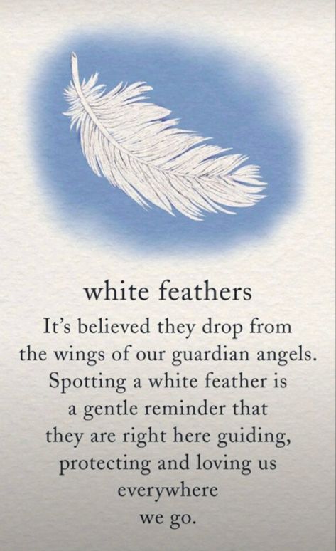 Guardian Angel Quotes, Feather Quotes, Mom In Heaven Quotes, Feather Meaning, Angel Blessings, Angel Signs, Angel Quotes, Heaven Quotes, Angel Prayers