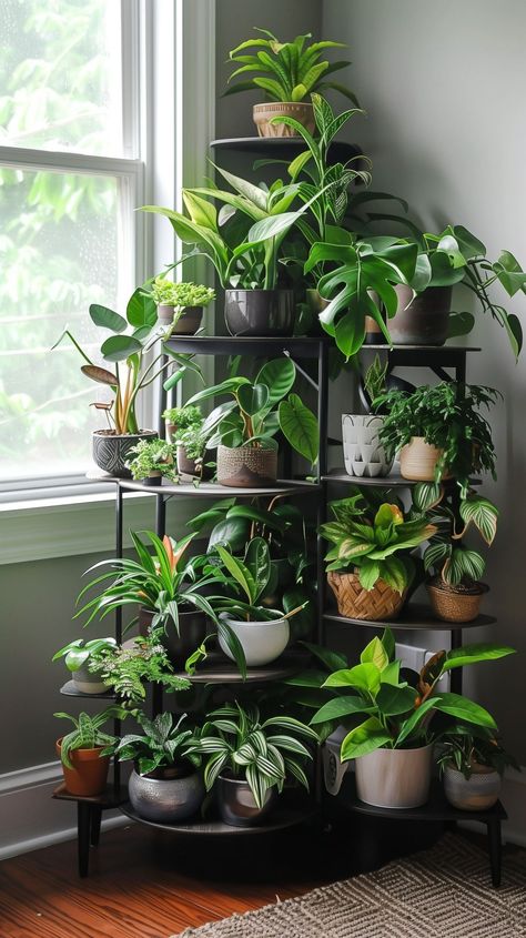 Diy Plant Stand Corner, Dark Corner Decorating Ideas, Plant Displays Indoor, Plant Set Up Indoor, Plant Corner Living Room, Indoor Plant Corner, Plant Display Indoor, Corner Plant Stand Indoor, Corner Plant Stand