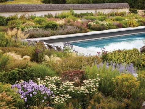 Grassy Garden, Therapy Garden, Tom Stuart Smith, Garden Museum, Garden Levels, Natural Garden, Museum Exhibition, Private Garden, Plant Design