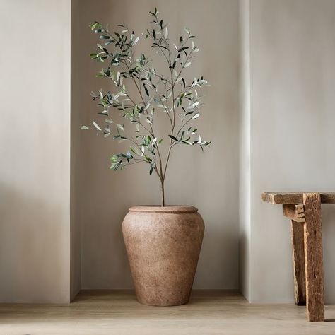 Best Faux Olive Trees in Pots to Elevate Your Home Black Olive Tree, Indoor Olive Tree, Potted Olive Tree, Olive Plant, Indoor Tree, Faux Olive Tree, Faux Tree, Potted Trees, Black Olive