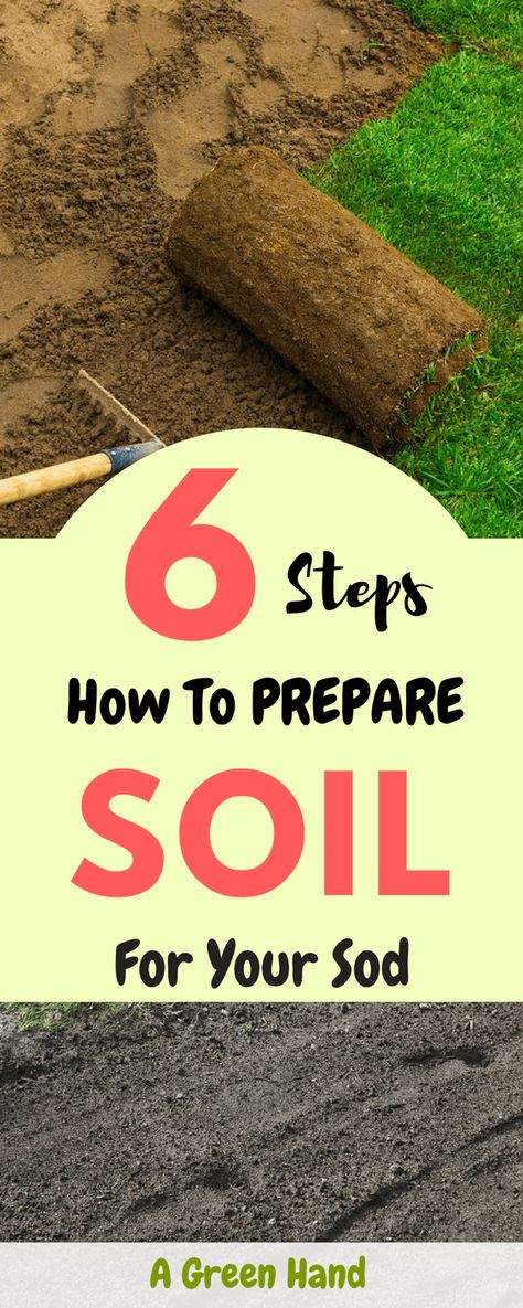 What Is The Right Method For Preparing Soil For Sod? I perceived sharing the soil preparation steps could help out all those amateur enthusiasts like me who love having a lush green lawn and enjoy doing it on their own. #soilcare #sod #gardening #agreenhand Garden Soil Preparation, Modern Gardening, Sustainable Gardening, Survival Gardening, Sandy Soil, Organic Gardening Tips, Green Lawn, Easy Garden, Garden Soil