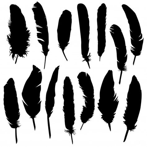 Feather Illustration, Feather Bird, Feather Drawing, Feather Vector, Draw Hands, Art Silhouette, Silhouette Clip Art, Logo Vintage, Icon Set Vector