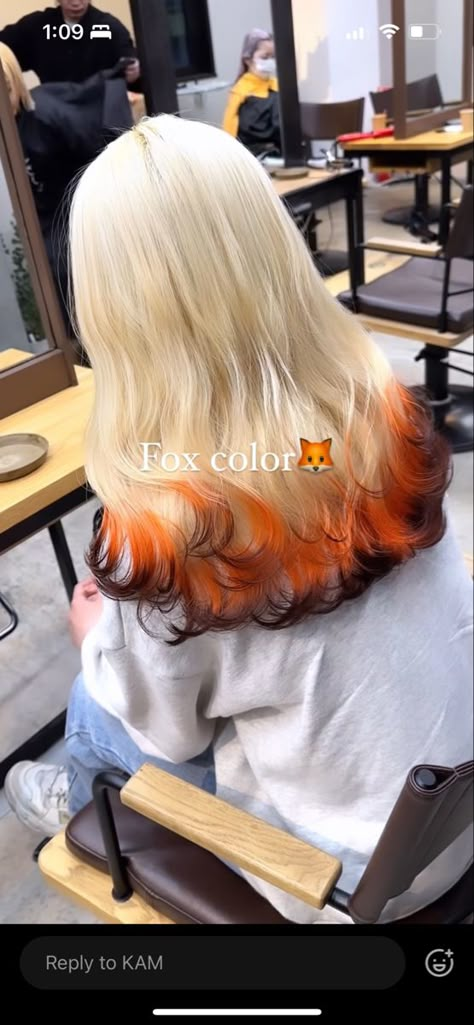 Fox Hair Dye, Hair Dye Videos, Κούρεμα Bob, Dyed Tips, Dip Dye Hair, Hair Mistakes, Hairstyles 2024, Sleek Bun, Dyed Hair Inspiration